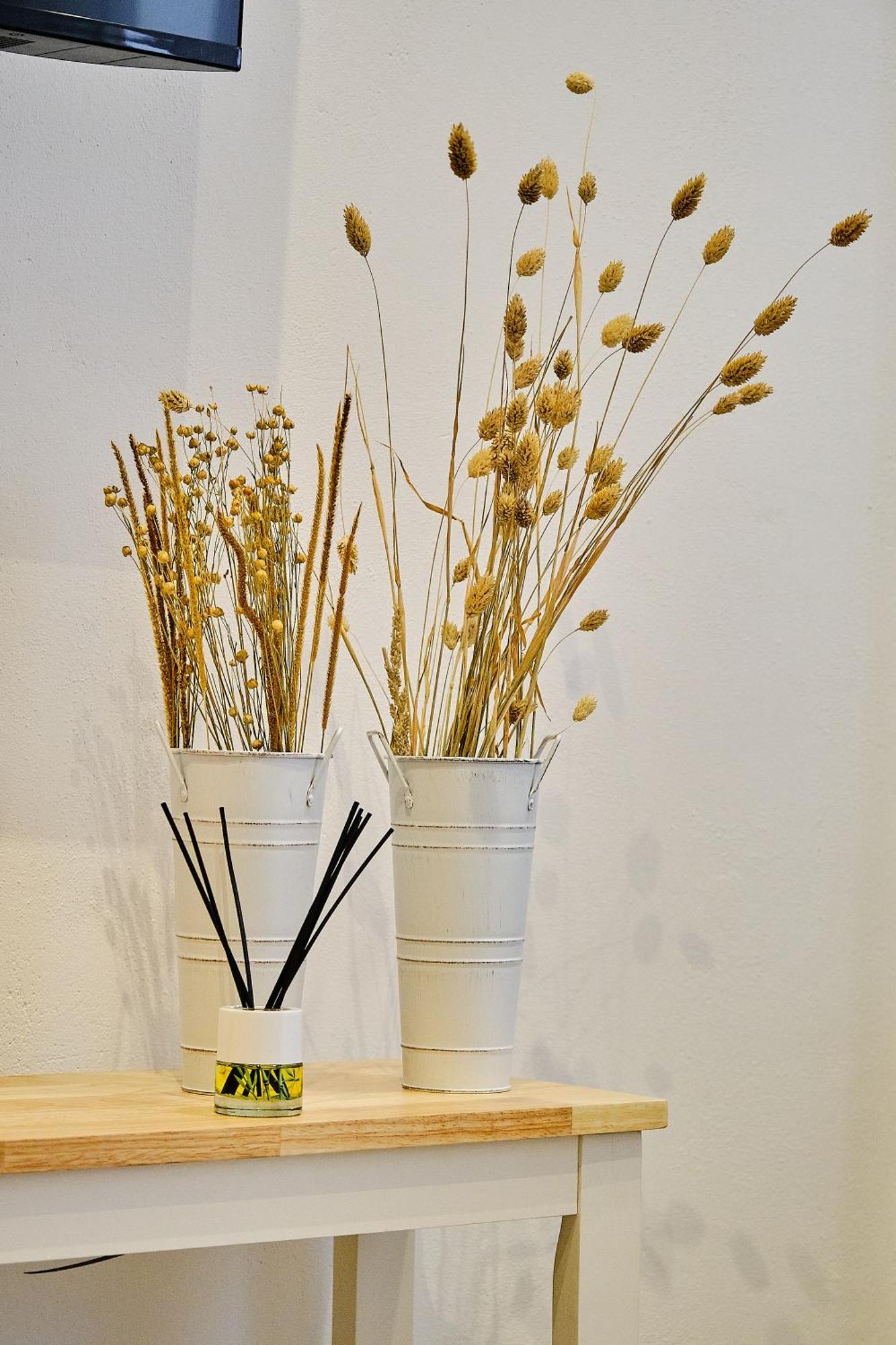 Apartamento La Perla Little Apartments Cádiz Eksteriør billede